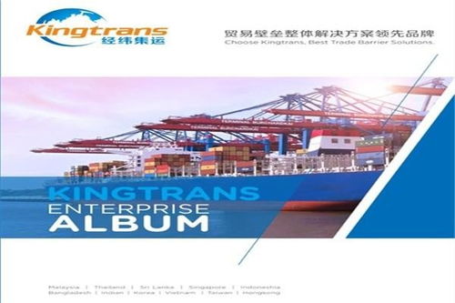 湛江企業在國內貿易代理中規避平軋反傾銷風險的策略分析